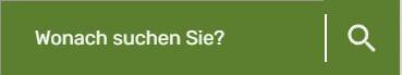 Suche