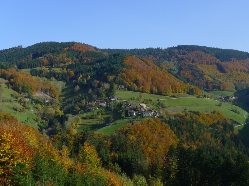 Ein malerisches Tal mit sanften Hügeln, teils bewaldet in Herbstfarben und vereinzelten Häusern, erstreckt sich unter einem klaren blauen Himmel.